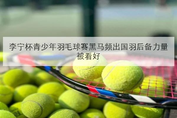 李宁杯青少年羽毛球赛黑马频出国羽后备力量被看好